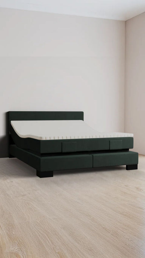 Fey Boxspring Bed
